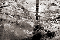 Tire Tracks in Slush